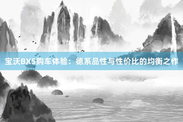 宝沃BX5购车体验：德系品性与性价比的均衡之作